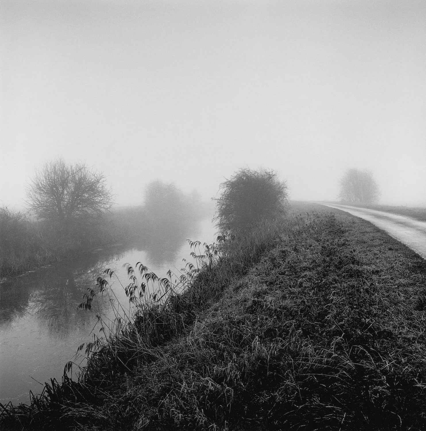 DRAINED — PAUL HART